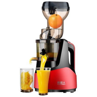Electric Juicer
