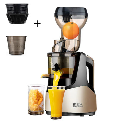 Electric Juicer
